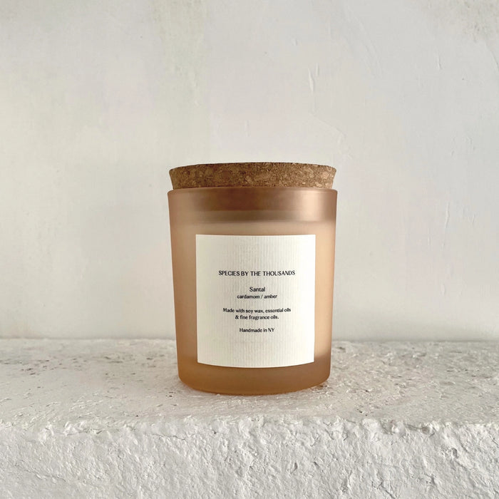 Santal, Cardamom + Amber Soy Candle