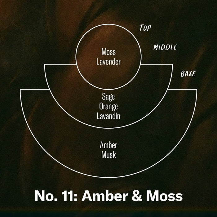 Amber & Moss - Large Concentrated Soy Candle