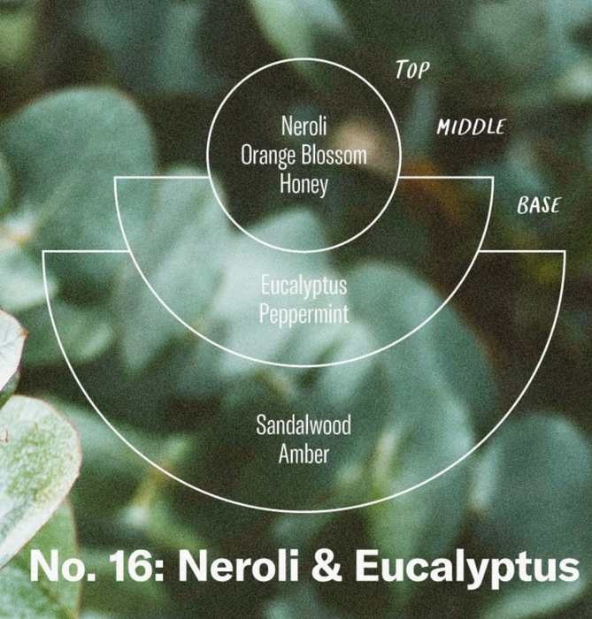 Neroli & Eucalyptus- 7.2 oz Soy Candle