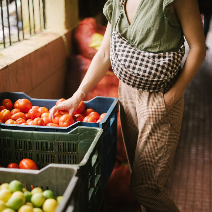 Gingham Moon Sling Bag