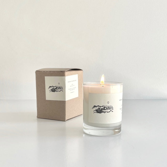 Land - Cedar, Sage & Grass Soy Candle