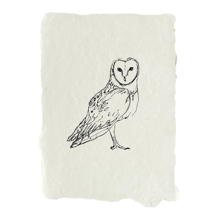 Barn Owl Art Print