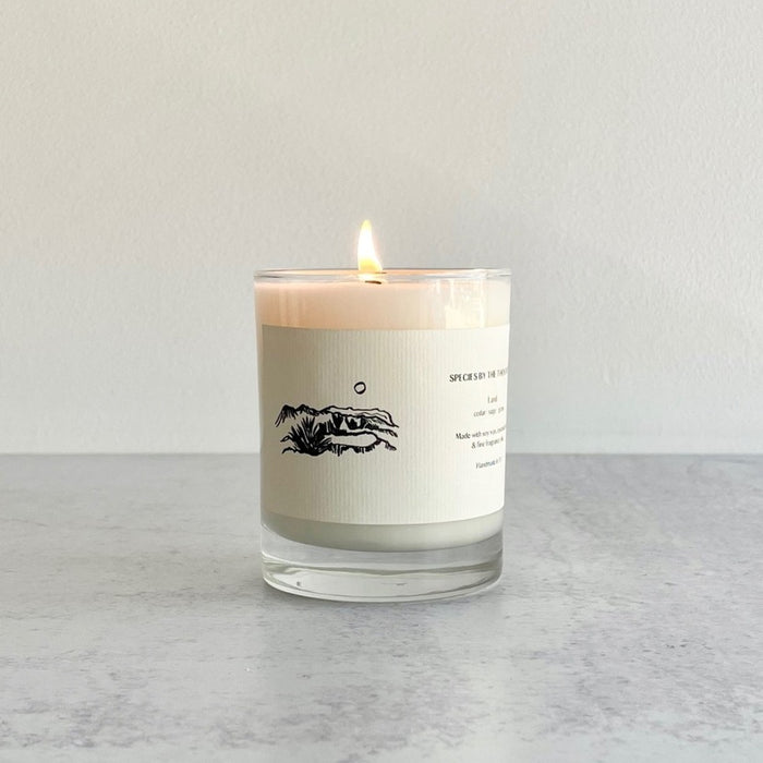 Land - Cedar, Sage & Grass Soy Candle