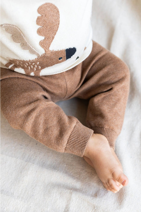 Organic Cotton Pocket Knit Baby Pants