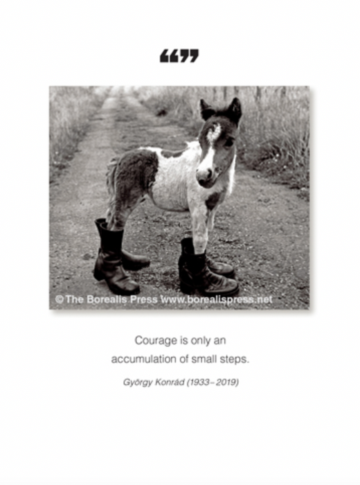 Courage is only...Encouragement All Occasion Card