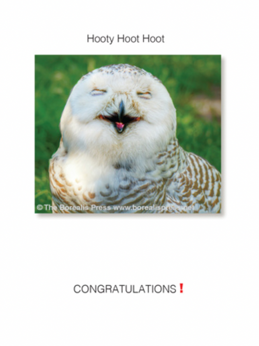 Hooty Hoot Hoot Congratulations! Greeting Card