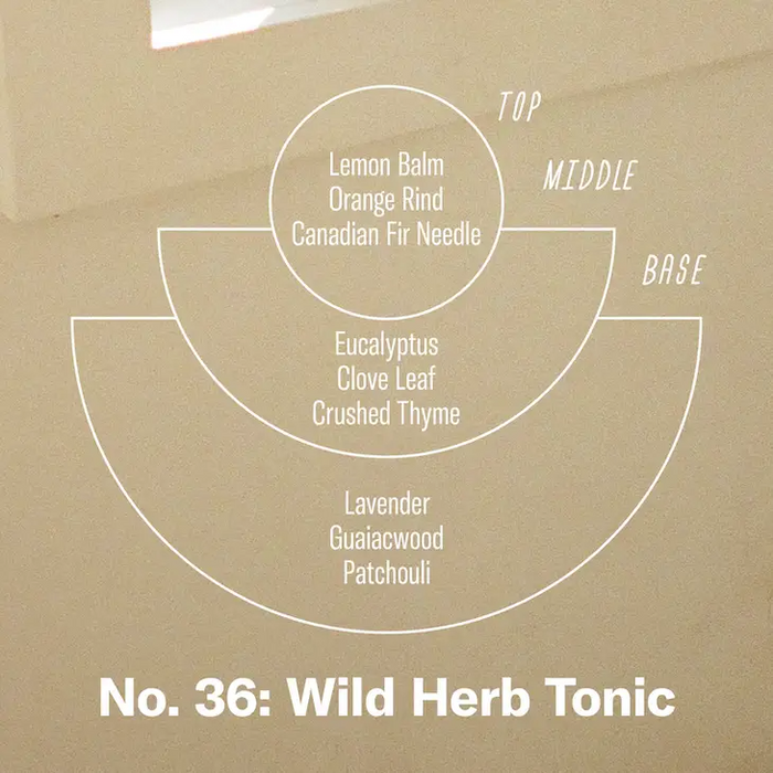 Wild Herb Tonic Soy Candle - 7.2 oz
