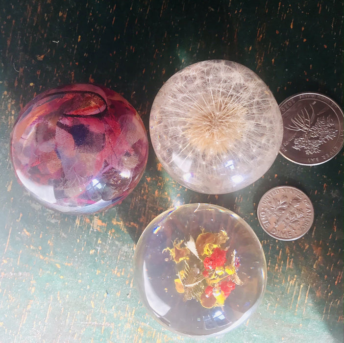 Paperweight Mixed Botanicals Pebble